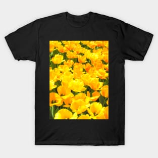 Yellow Tulips T-Shirt